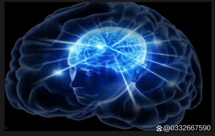 综艺节目录制现场发生意外,嘉宾受伤送医节目组被指安全措施不到位